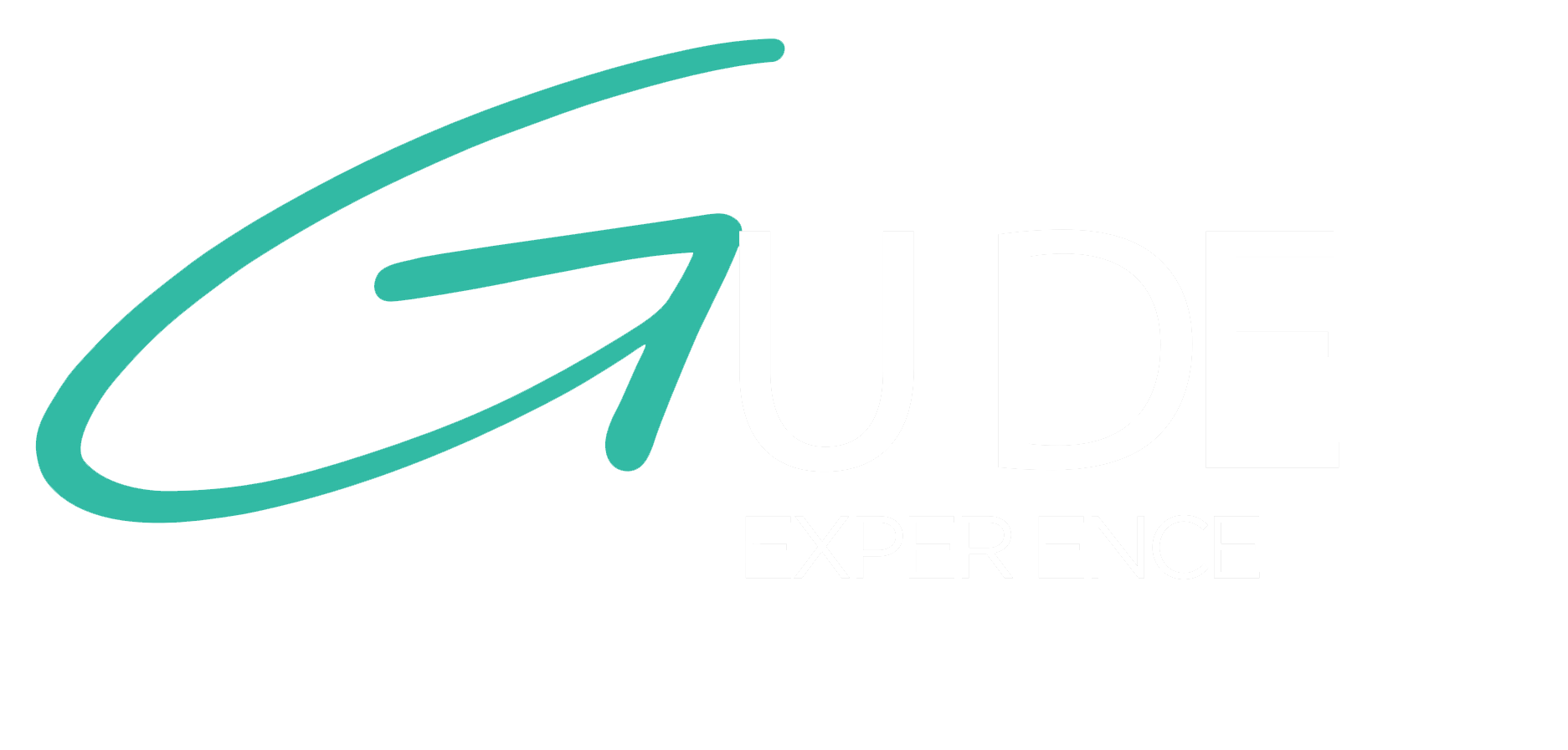 Guide Experience